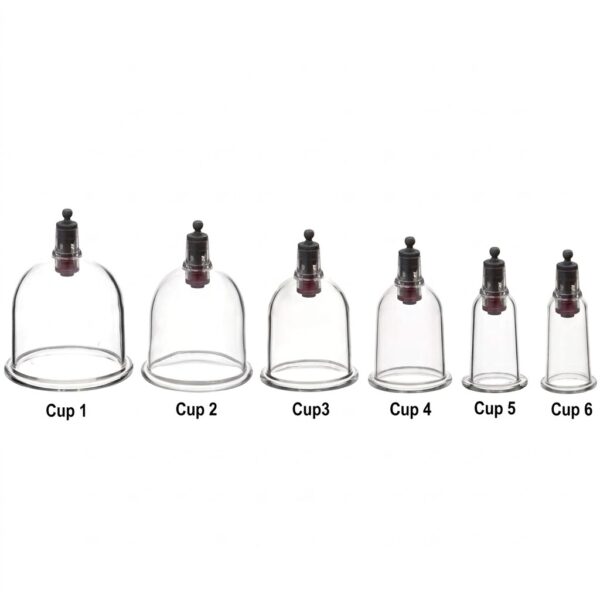 Loose Hijama Cups – Cupping Therapy Cups (Set of 10 pcs - 6 Sizes Available)