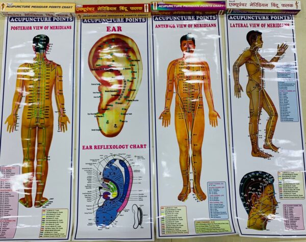 Acupuncture chart (set of 4 pc.)