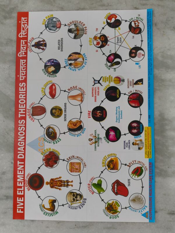 Five Element Diagnosis Theories Chart (17×11 inch , 43×28 cm )