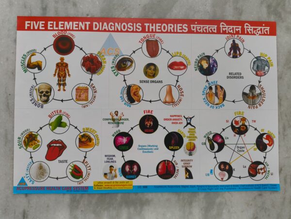 Five Element Diagnosis Theories Chart (17×11 inch , 43×28 cm )