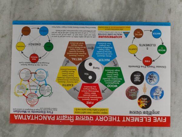 Five Element Point Chart ( 17×11inch , 43×28 cm )