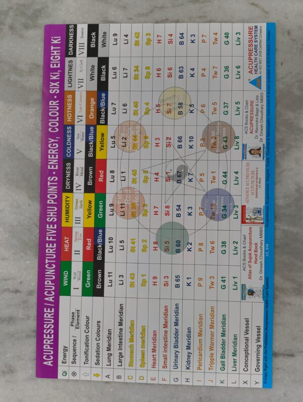 Acupressure/Acupuncture Five SHU Point Energy Chart (17×12 inch , 43×28 cm )