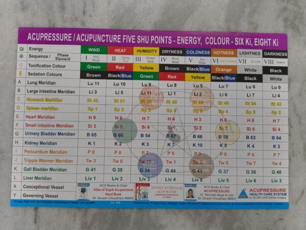 Acupressure/Acupuncture Five SHU Point Energy Chart (17×12 inch , 43×28 cm )
