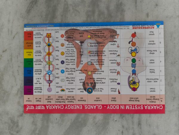 Chakra System Chart – Glands & Energy Flow ( 17×11 inch, 43×28 cm)