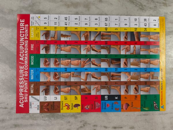 Acupressure / Acupuncture SHU points / 60 Commanding points( 17×11 inch, 43×28 cm)
