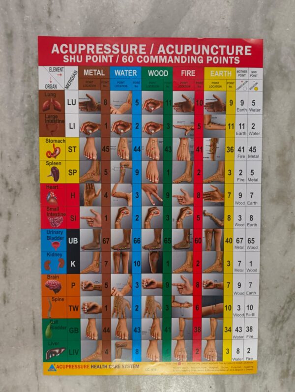 Acupressure / Acupuncture SHU points / 60 Commanding points( 17×11 inch, 43×28 cm)