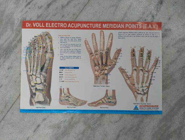 Dr. Voll electro Acupuncture meridian points (E.A.V) ( 17×11 inch, 43×28 cm)