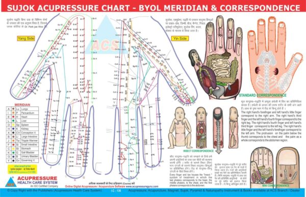 Sujok Acupressure chart - byol meridian & correspondence (17×11 inch, 43×28 cm)