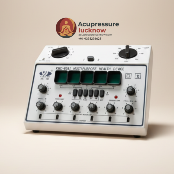KWD-8081 Health Device Acupuncture Stimulator