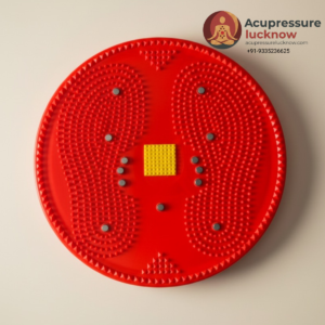 Twister Body Weight Reducer Big Disc