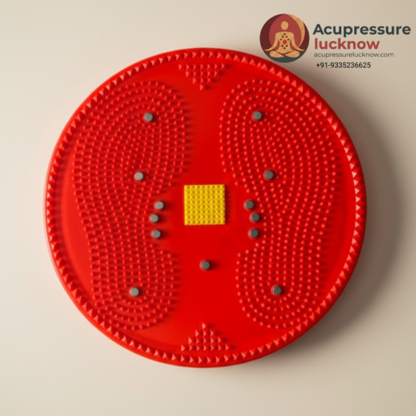 Twister Body Weight Reducer Big Disc