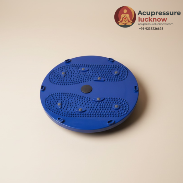 Twister Body Weight Reducer Disc (small)